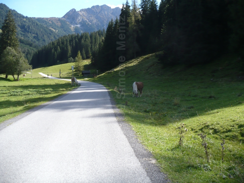 Images/1 Oesterreich_Zillertal_ (35).jpg